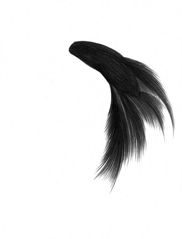 Tara_Mahapatra_Drawings