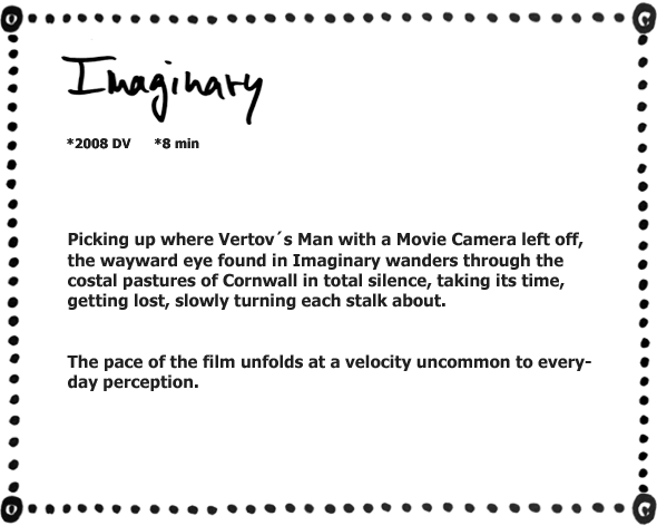 Tara Mahapatra Imaginary Text