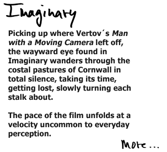 Imaginary_Text