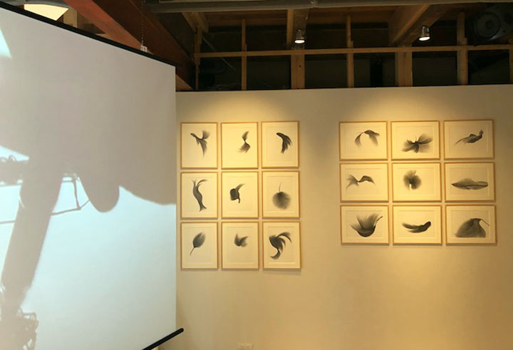 Tara_Mahapatra_Haku_Gallery_Exhibition
