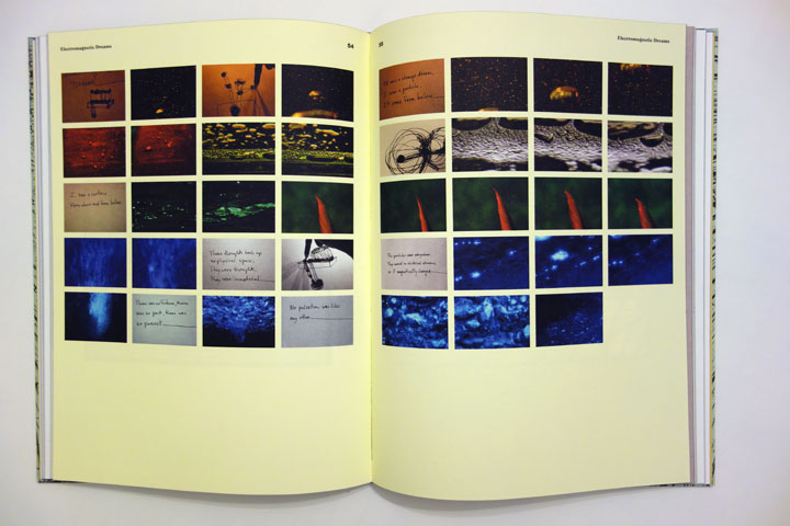 Tara_Mahapatra_Catalog_In_the_the_Dark_of_light