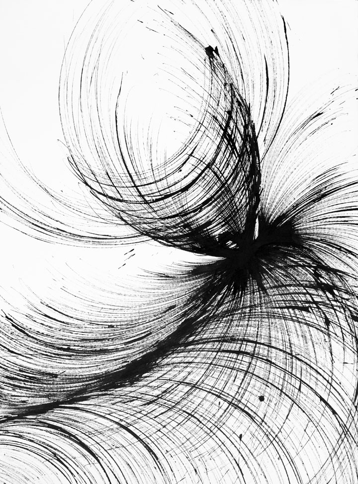 Tara_Mahapatra_Losito_Artprize